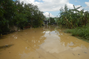 Eine überflutete ländliche Straße mit Wasser, das die Straße bedeckt, umgeben von Pflanzen und Bäumen, einem geparkten Auto auf der rechten Seite und Häusern, Masten, Drähten und einem bewölkten Himmel im Hintergrund.
