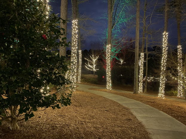 Ein nächtlicher Waldweg, der von bunten Weihnachtslichtern beleuchtet ist und von trockenen Blättern gesäumt ist, mit dem Himmel im Hintergrund.
