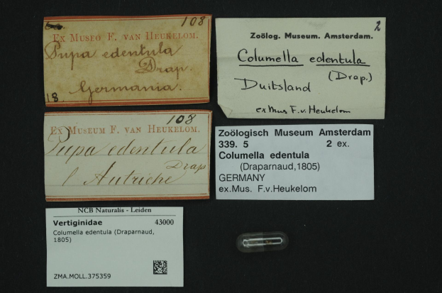 Eine Sammlung alter Visitenkarten mit Texten zum Thema Columella edentula, ein näherländisches Medikament, und ein kleines Papier mit einem Barcode.