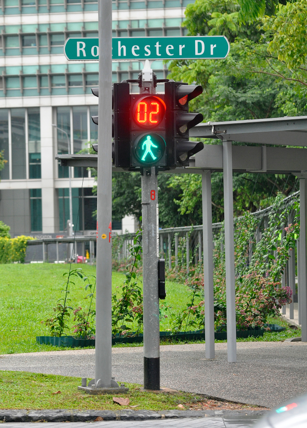 Eine Verkehrsampel an der Seite einer Straße, umgeben von Gras, Pflanzen, Bäumen und einem Gebäude im Hintergrund.
