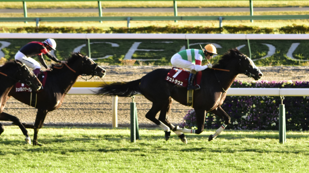 Zwei Jockeys in Helmen rasen auf Pferden eine Bahn entlang, umgeben von Grün, mit einem Geländer und einer Tafel im Hintergrund.