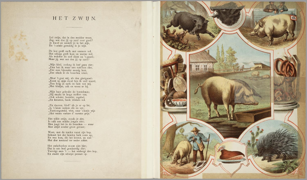 Offenes Buch mit Illustrationen von Schweinen, Hühnern und anderen Bauernhoftieren, mit Text auf der linken Seite.