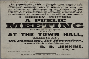Eine Ankündigung für eine öffentliche Versammlung im Rathaus in Cardigan am Montag, 1. November 1858, mit Text, der das Ereignis beschreibt.
