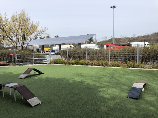 Ein eingezäunter Hundepark mit Kunstgras, Rampen und umgeben von Vegetation, Fahrzeugen, Schuppen und Strommasten.