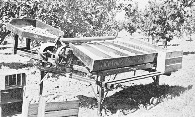 Ein Schwarz-Weiß-Foto eines Apfelgartens mit einer Maschine in der Mitte, umgeben von Bäumen und Gras, und hölzernen Kisten voller Äpfel auf der linken Seite.