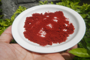 Eine Person hält eine weiße Schüssel mit rotem Chili-Pulver in der Hand, im Hintergrund sind Pflanzen und eine Wand zu sehen.