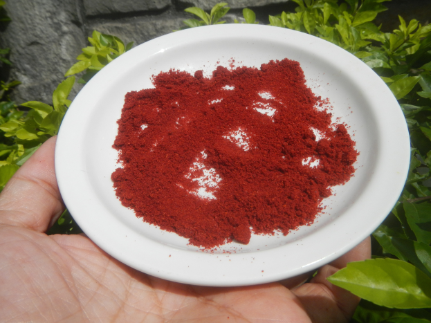 Eine Person hält eine weiße Schüssel mit rotem Chili-Pulver in der Hand, im Hintergrund sind Pflanzen und eine Wand zu sehen.